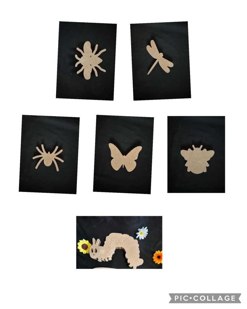 Insect shape set of 6, includes Bee, wasp, Butterfly, spider Dragonfly Caterpillar great painted or decorated