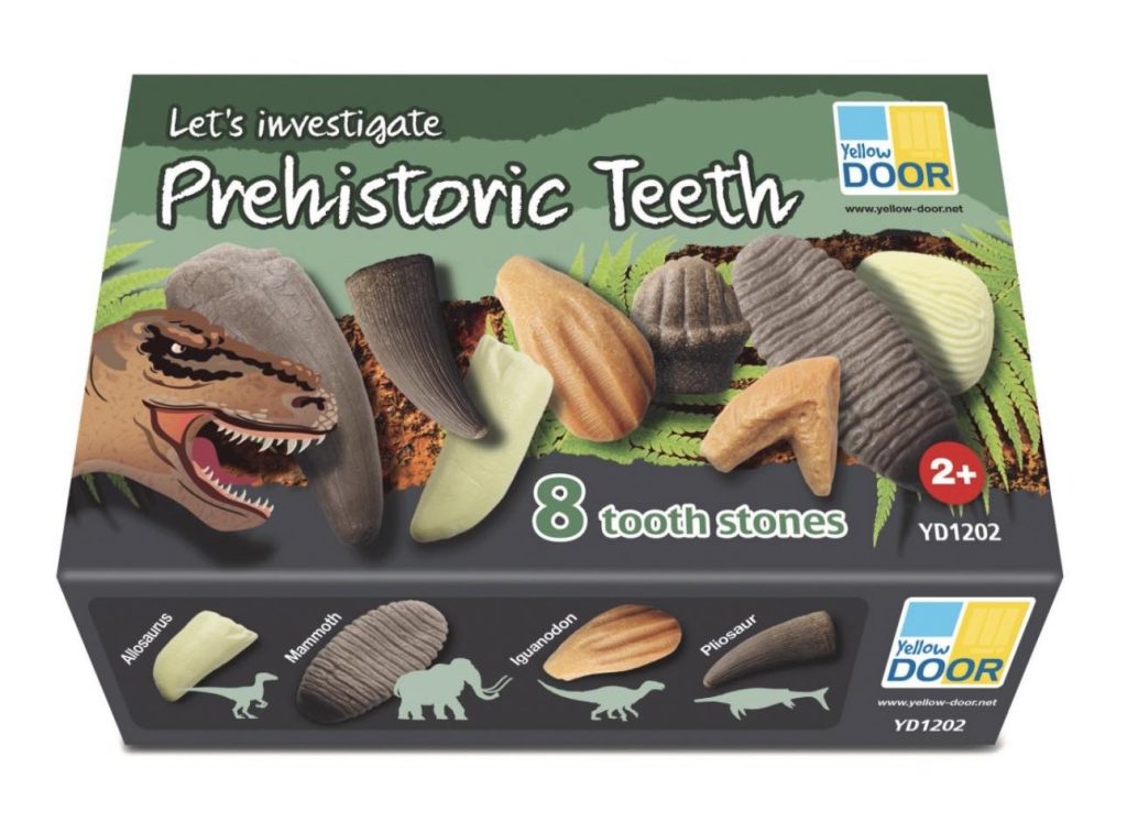 Let’s Investigate Prehistoric Teeth