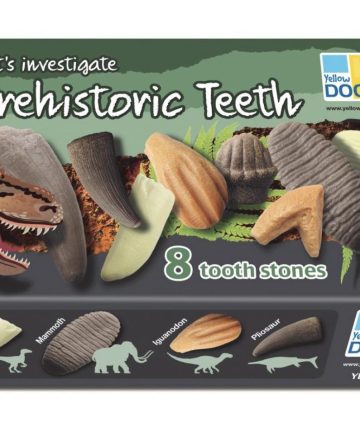 Let’s Investigate Prehistoric Teeth - Image 3