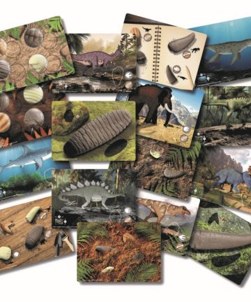 Prehistoric Teeth Explore and Discover Activity Cards - Image 1
