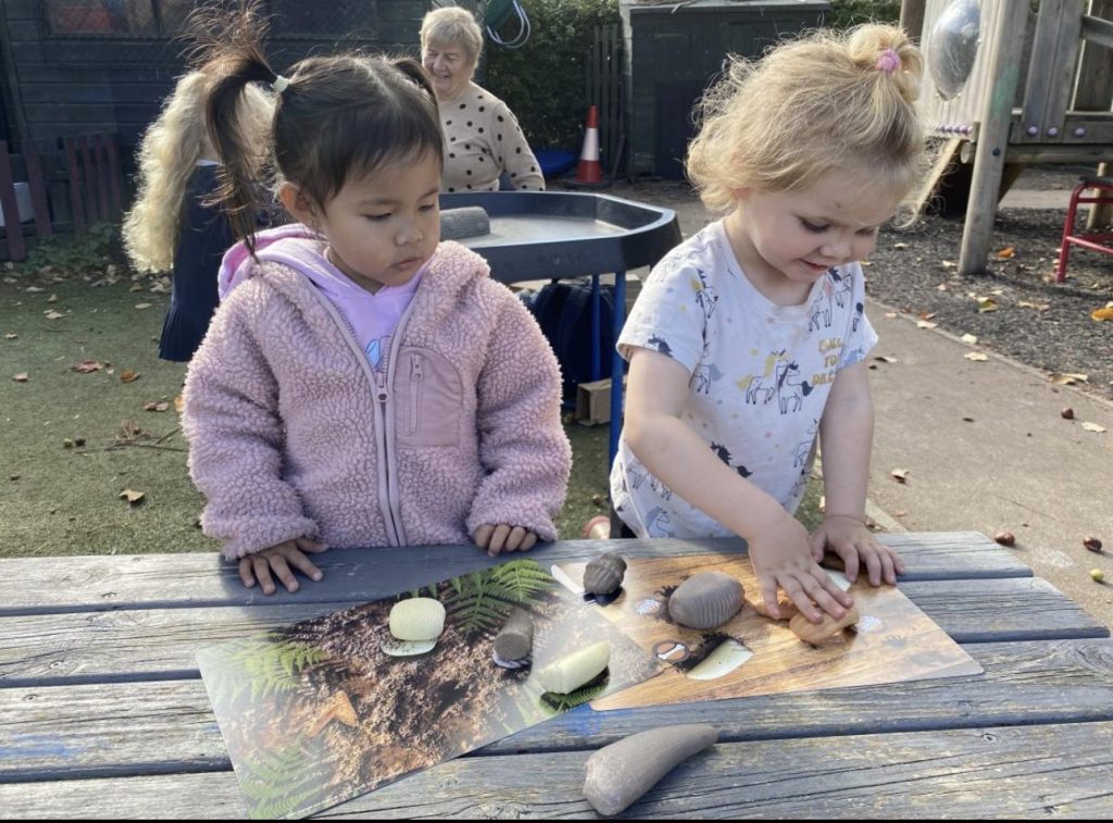 Prehistoric Teeth Explore and Discover Activity Cards