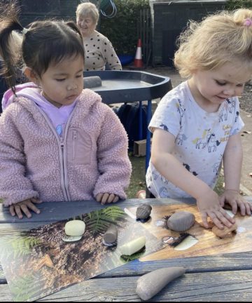 Prehistoric Teeth Explore and Discover Activity Cards - Image 3