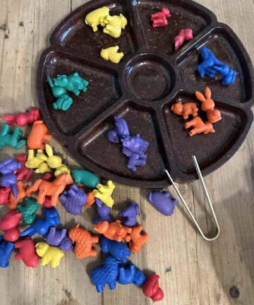 Resin sorting tray - Image 2