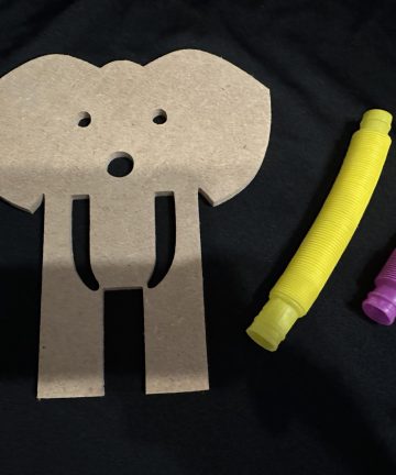 Elephant Sensory tube nose shape - Image 1