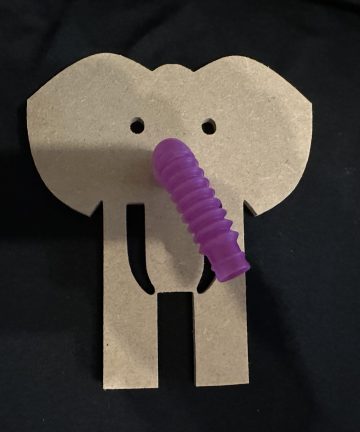 Elephant Sensory tube nose shape - Image 2