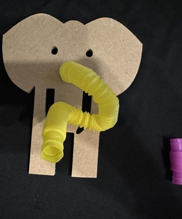 Elephant Sensory tube nose shape - Image 3