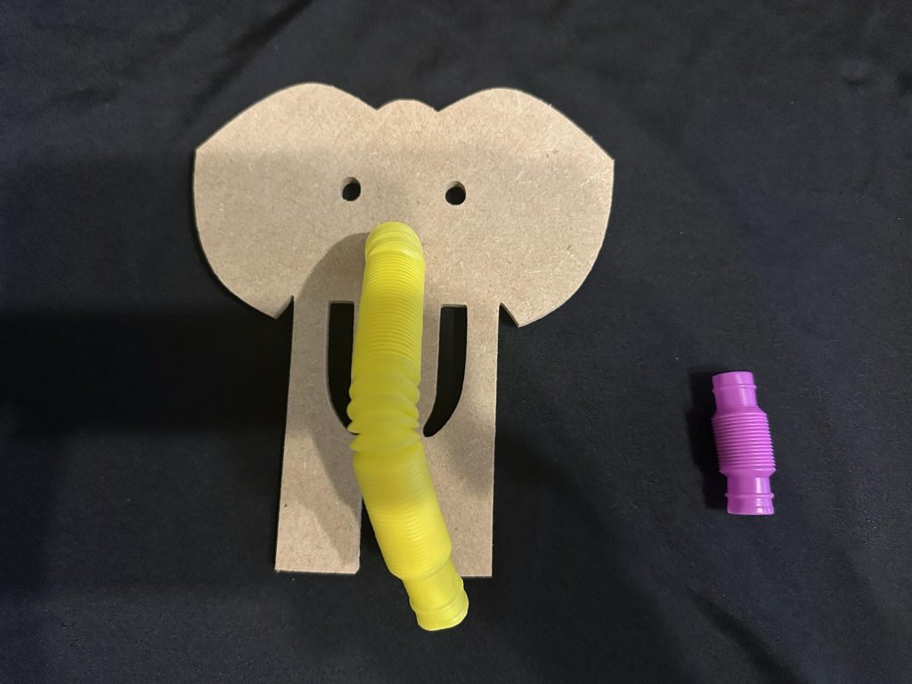 Elephant Sensory tube nose shape
