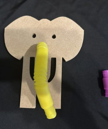Elephant Sensory tube nose shape - Image 4