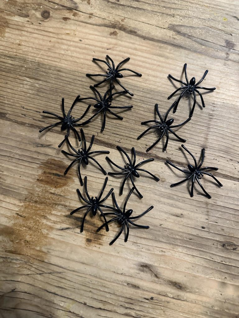 10 x plastic Spiders - Great for Halloween, Autumn, Nature or Insect Play/Crafts