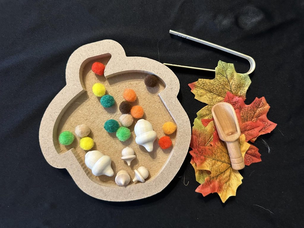 Acorn MDF, Sensory set, all you need just add your filling