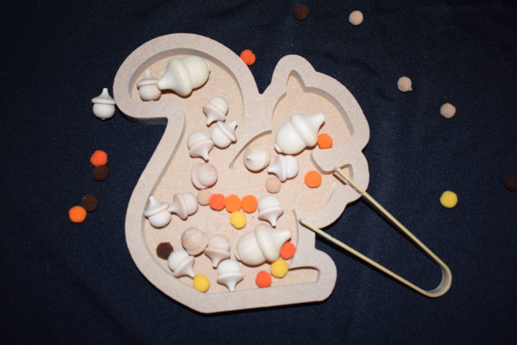Squirrel Tray. Great for rice or chick pea sensory play
