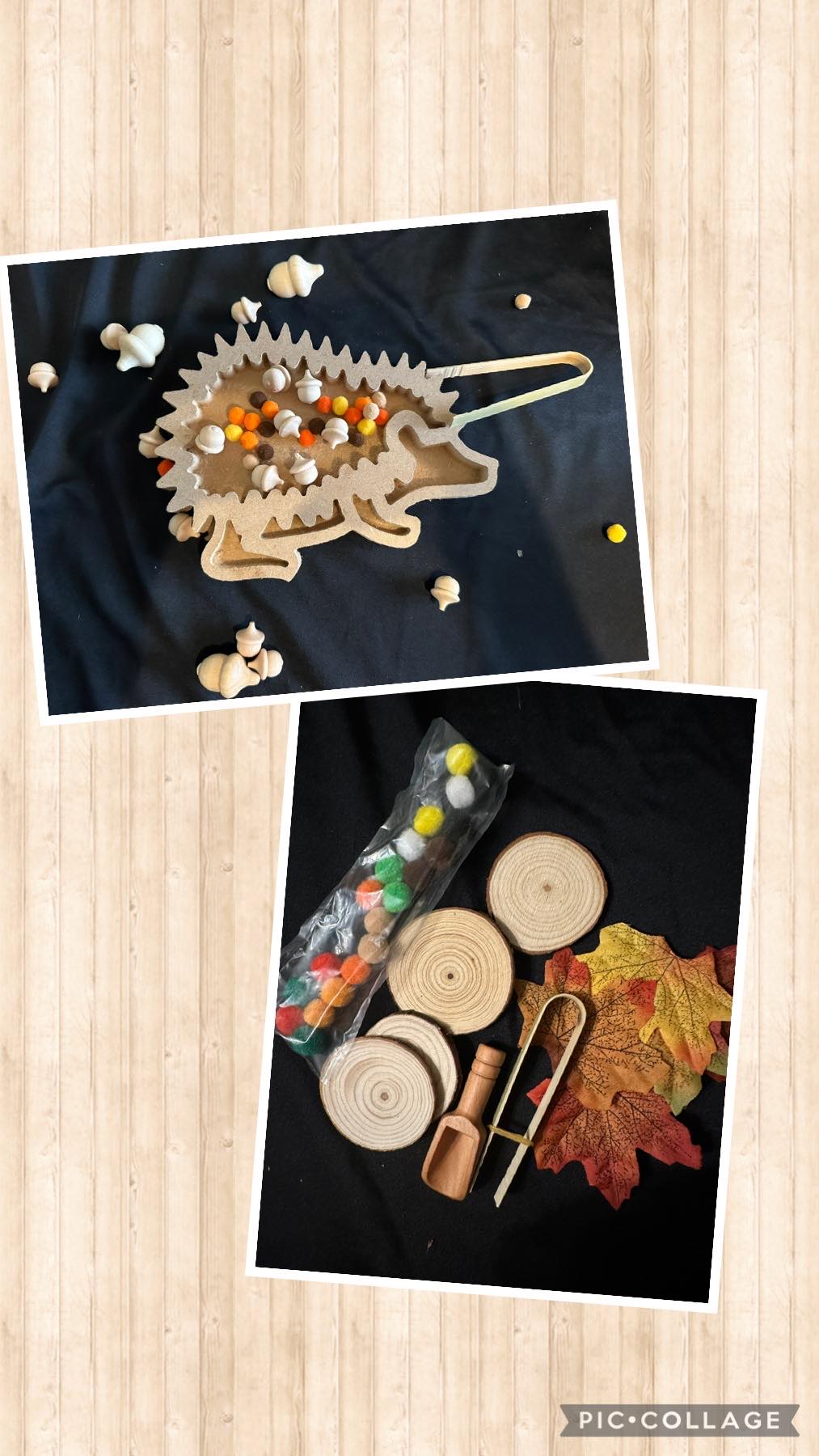 Hedgehog MDF tray Sensory set