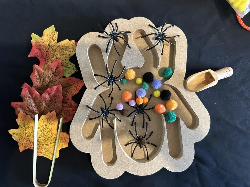 Spider Tray sensory set, just add your filling and your ready to go