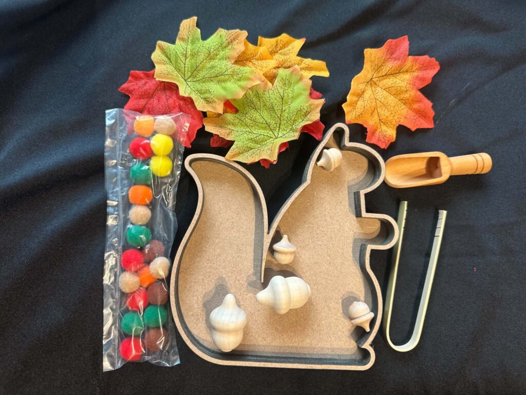 Squirrel MDF, Sensory set, all you need just add your filling