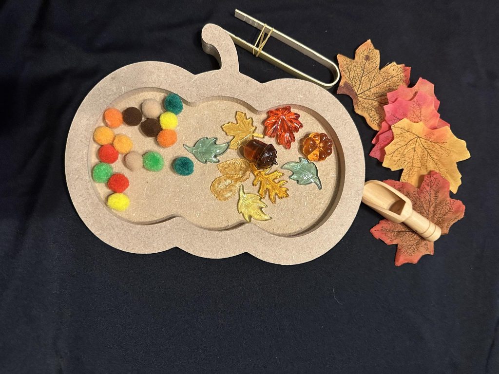 Pumpkin Tray sensory set, just add your filling and your ready to go