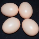 Plastic Eggs - Ideal For Easter, Spring, Birds Or Seasons Crafts Or Projects