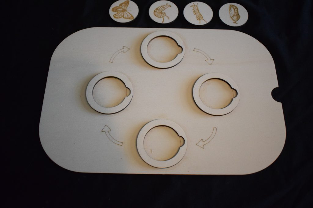Ikea Flisat Butterfly Life Cycle Small Lid -  Great For Nature Or Insect Projects Or Play