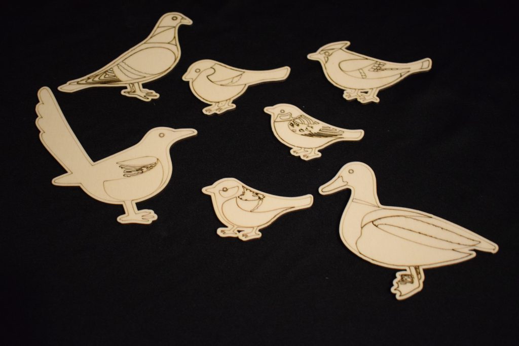 Bird Pack - Ideal For Bird or Nature Play Or Projects And Part Of Our Essential Range