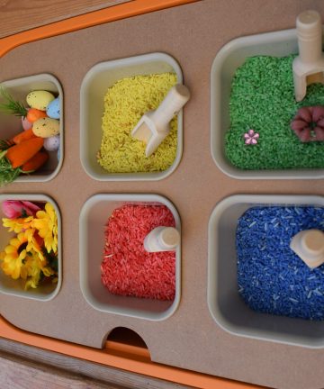 Flisat Large Lid With 6 Storage Containers - Image 2