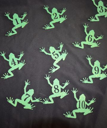 Counting Frogs - Great For Numeracy Or Reptile Projects - Image 2