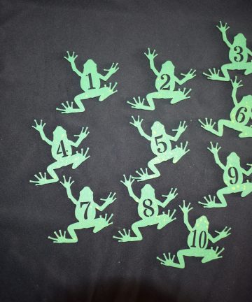 Counting Frogs - Great For Numeracy Or Reptile Projects - Image 1