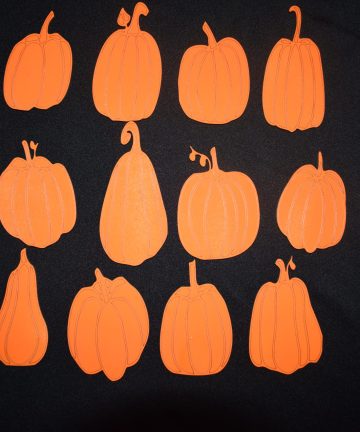 Coloured Pumpkin Sets _ Great For Halloween, Autumn' seasons And Sensory Play Trays - Image 2