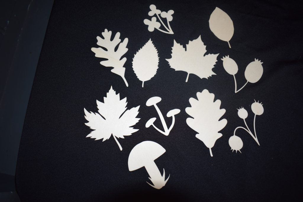 Autumn Shapes Pack - Ideal For Seasons, Autumn & Nature Inspired Projects