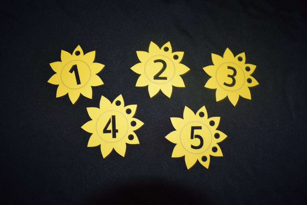 Counting Flowers - Great For Numeracy Or Maths Projects
