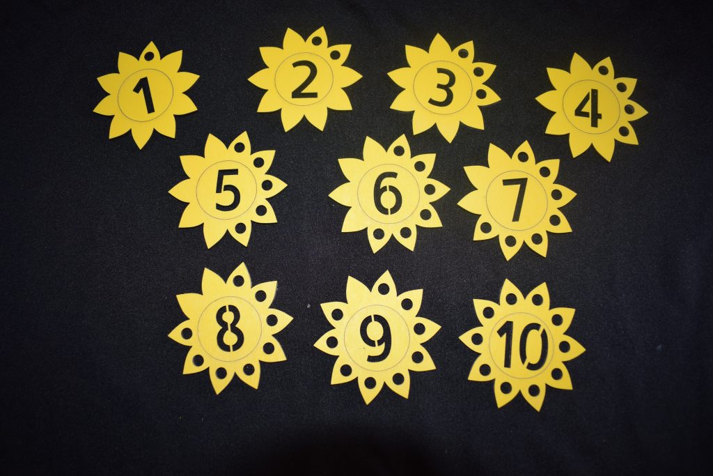Counting Flowers - Great For Numeracy Or Maths Projects