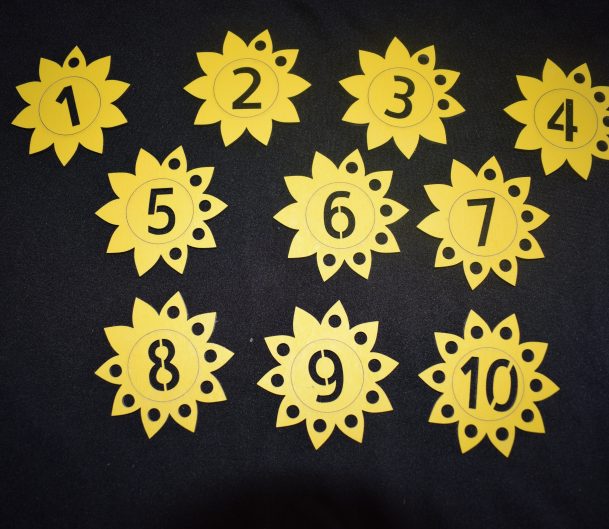 Counting Flowers - Great For Numeracy Or Maths Projects