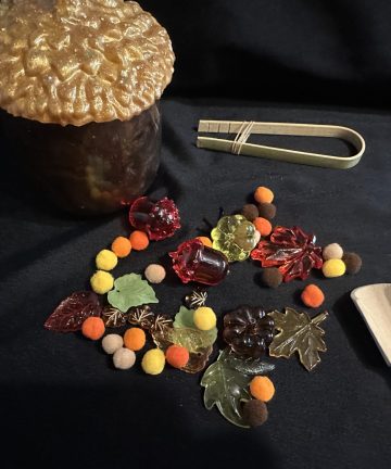 Resin Acorn Tray - Great For Autumn, Seasons, Nature Or Halloween Sensory Play - Image 2