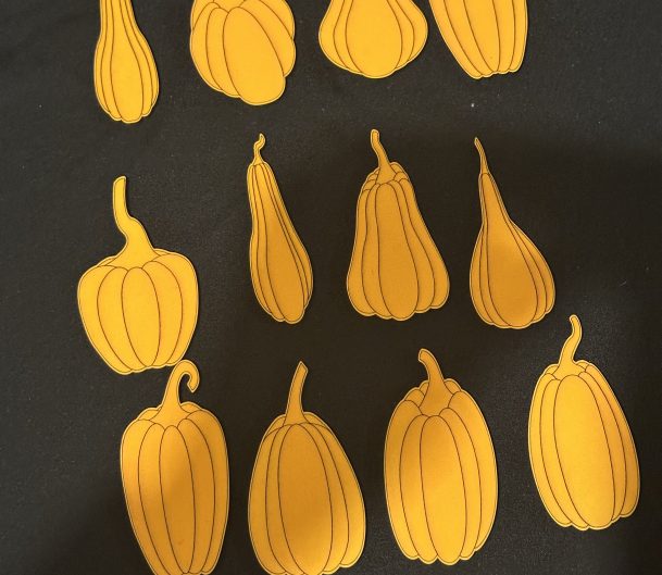 Coloured Pumpkin Sets _ Great For Halloween, Autumn' seasons And Sensory Play Trays