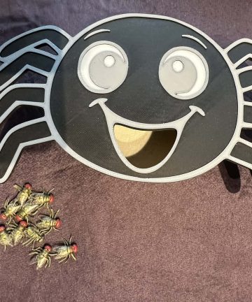 3D Printed Spider Feeding Face – Great For spring, summer or insect activities  and To Help Little Hands With Coordination - Image 4