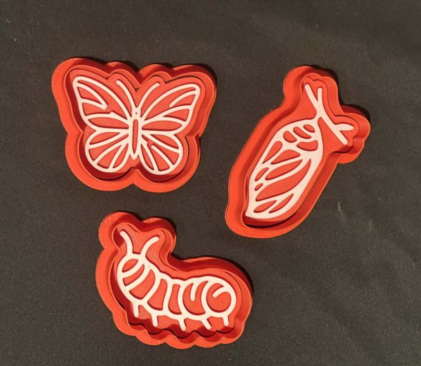 Life Cycle Play Dough Cutter & Stamper Set - A great hands-on resource to support learning about life cycles through play