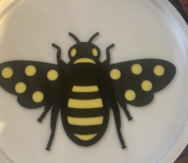Bee 10 Frame - A fun, hands-on way to support early maths learning through play!