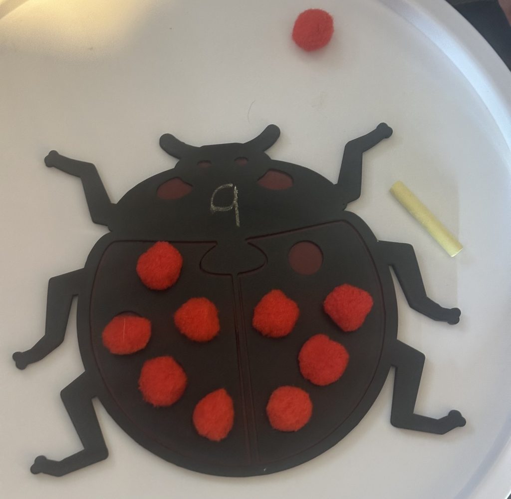 Ladybird 10 Frame - A fun, hands-on way to support early maths learning through play!