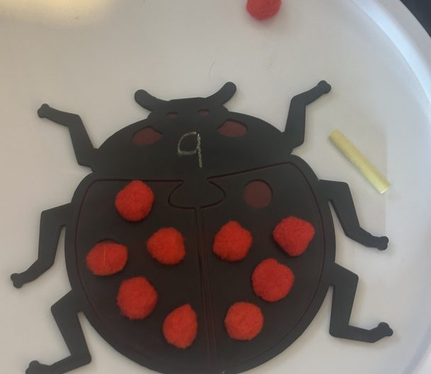 Ladybird 10 Frame - A fun, hands-on way to support early maths learning through play!