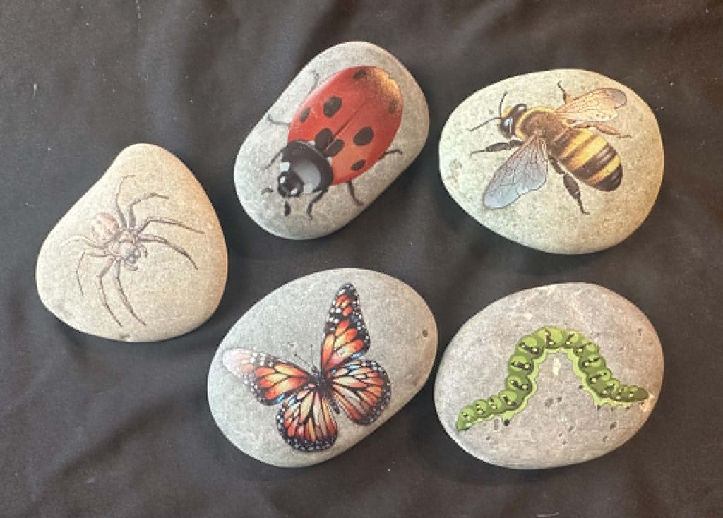 Insect stones - great to add to any sensory activity