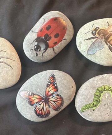 Insect stones - great to add to any sensory activity - Image 1