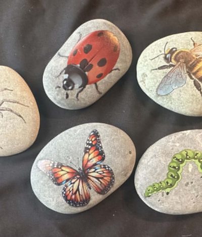 Insect stones - great to add to any sensory activity