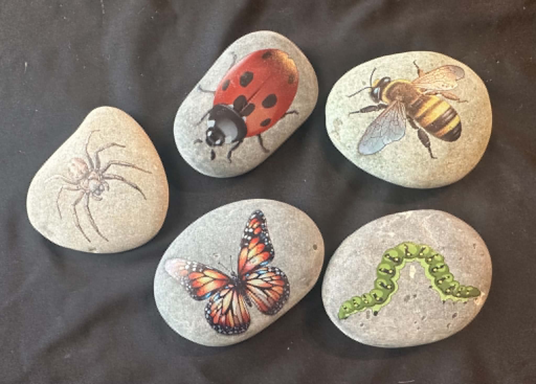 Insect stones1