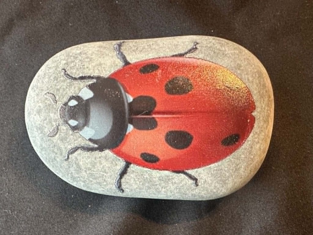 Insect stones - great to add to any sensory activity