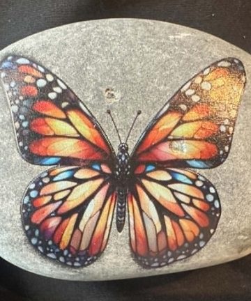 Insect stones - great to add to any sensory activity - Image 3