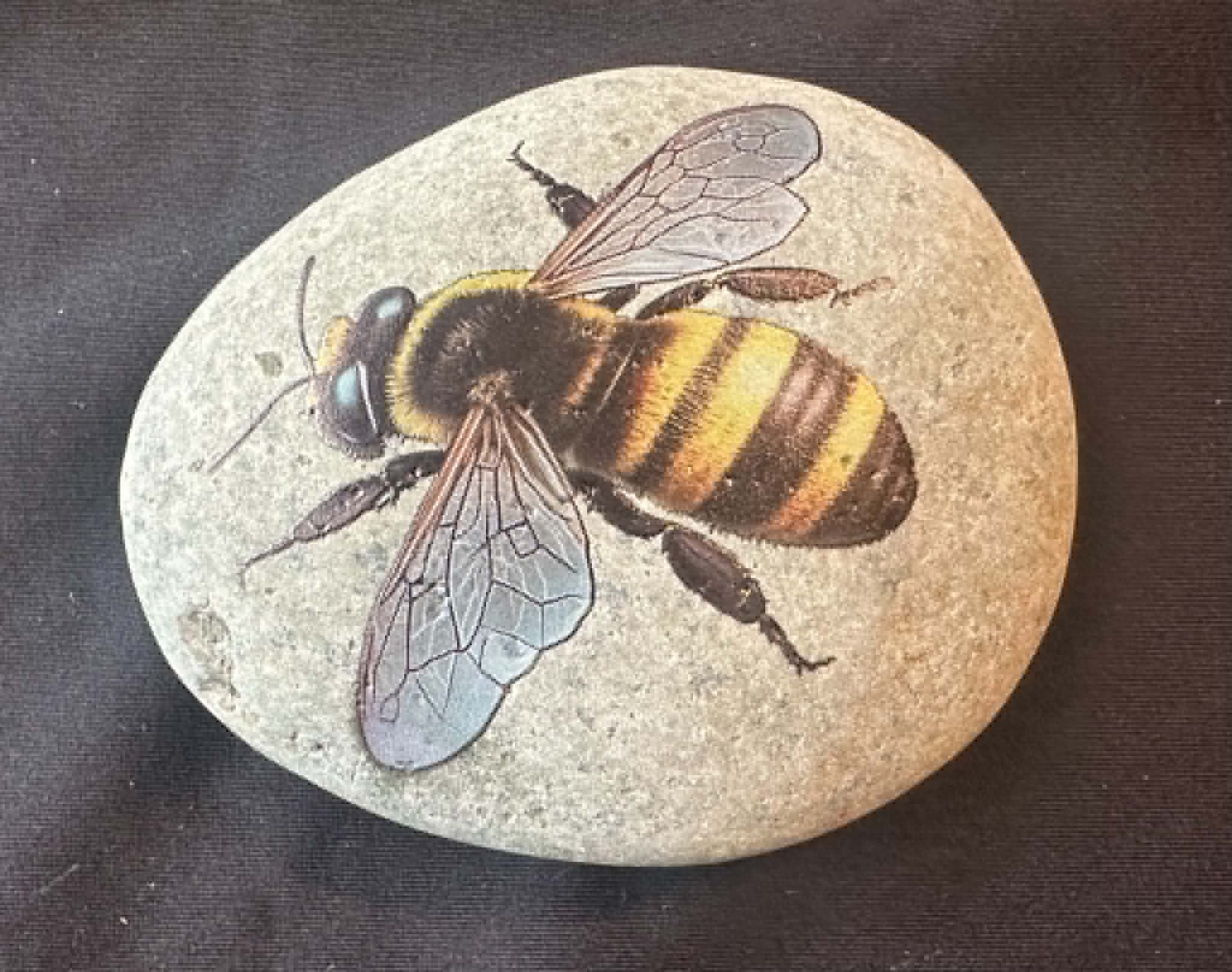 Insect stones4
