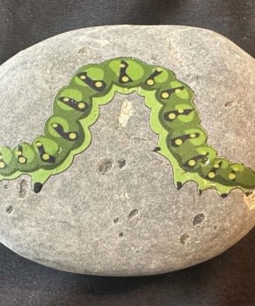 Insect stones - great to add to any sensory activity - Image 5