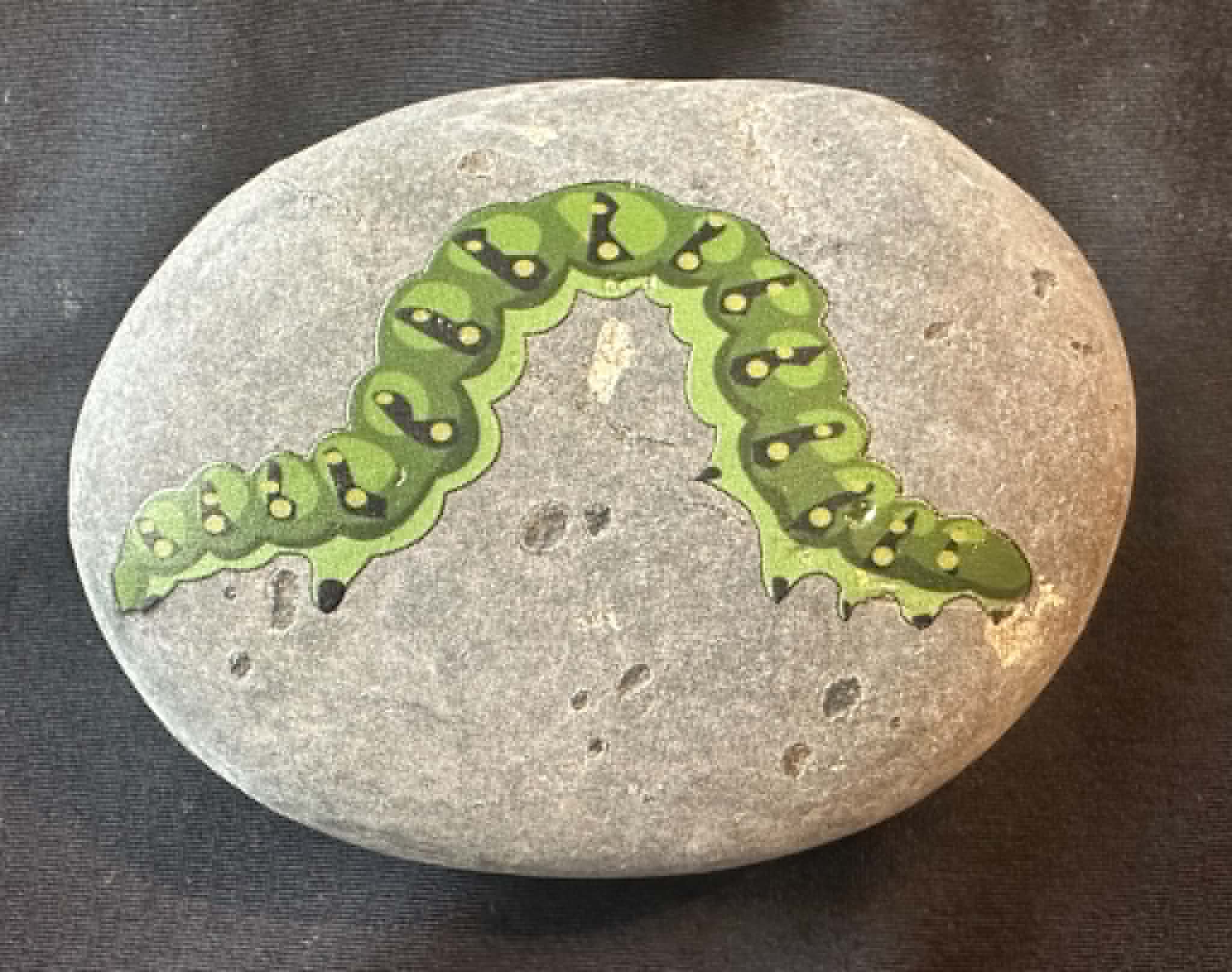 Insect stones5