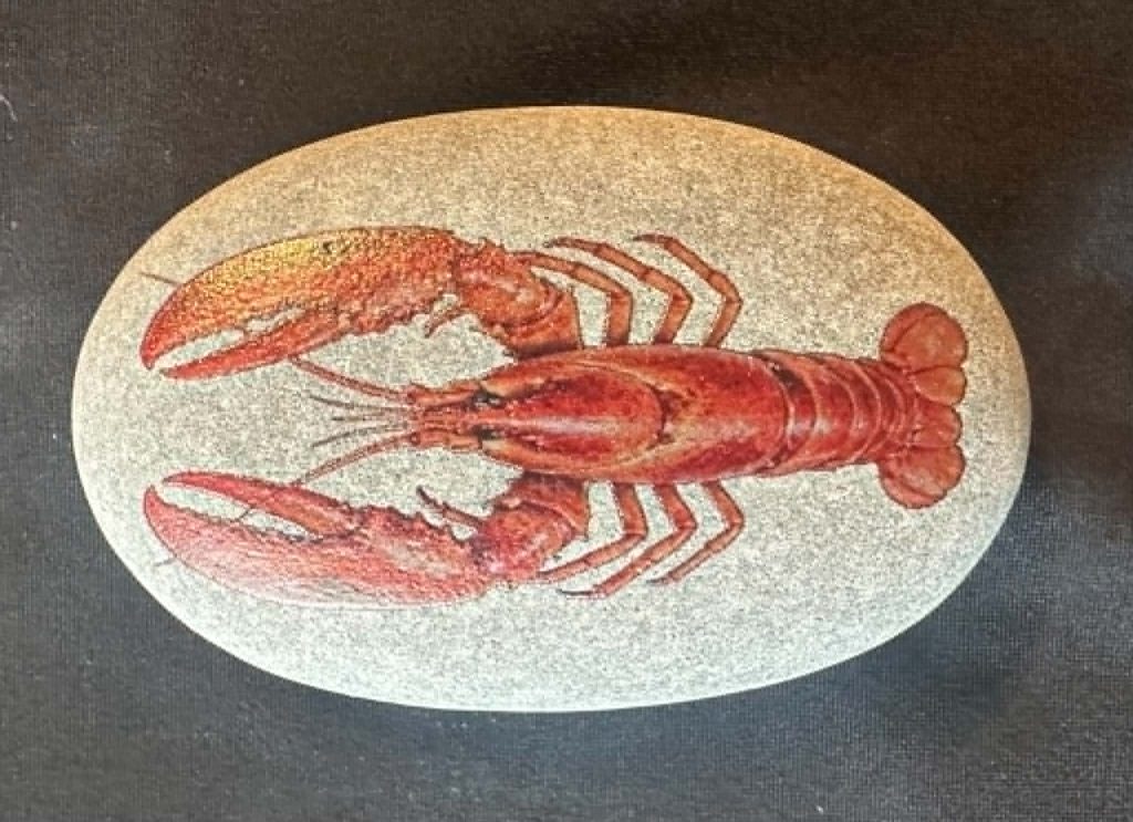 Sea creature stones - great to add to any under the sea activity