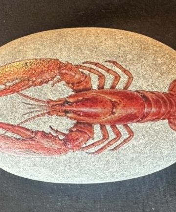 Sea creature stones - great to add to any under the sea activity - Image 3