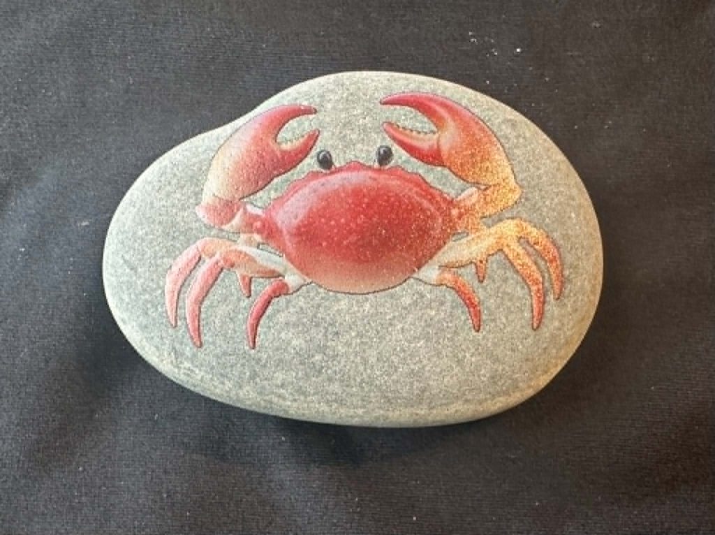 Sea creature stones - great to add to any under the sea activity