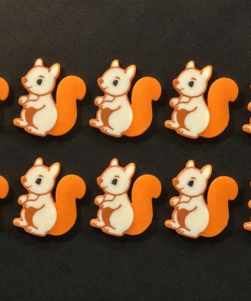 3D Printed Counting Tokens Squirrel x10